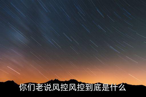 你們老說風控風控到底是什么