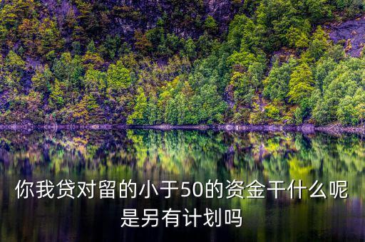 你我貸為什么我要投2萬才能減50，你我貸對留的小于50的資金干什么呢是另有計劃嗎