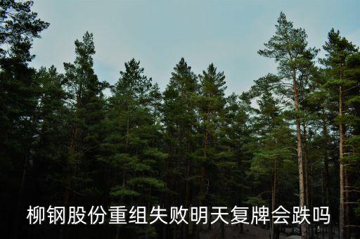 柳鋼股份什么時候復牌，柳鋼股份何時復牌 復牌后價位如果