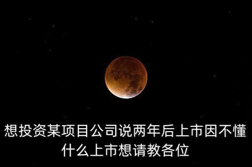 想投資某項(xiàng)目公司說兩年后上市因不懂什么上市想請(qǐng)教各位