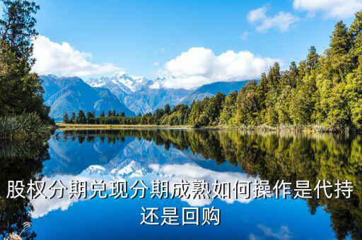 什么叫股權(quán)成熟期，VCPE什么意思