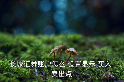 長(zhǎng)城證券賬戶怎么 設(shè)置顯示 買(mǎi)入 賣(mài)出點(diǎn)