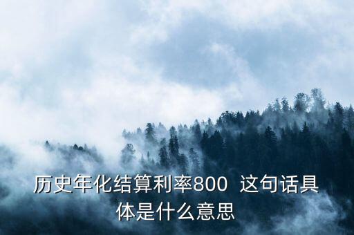 年化結(jié)算利率是什么，歷史年化結(jié)算利率800  這句話具體是什么意思