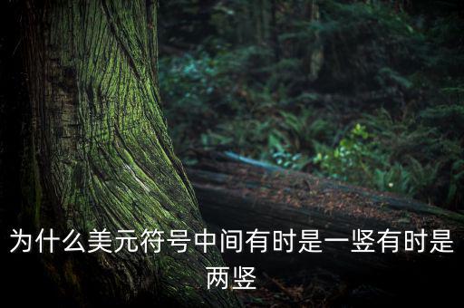 比美元符號(hào)多一豎是什么，一個(gè)很像美元的符號(hào) 但是那一豎是不貫穿S的 也就是S上面有一小豎
