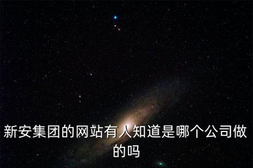 新安股份做什么的，新安集團的網(wǎng)站有人知道是哪個公司做的嗎