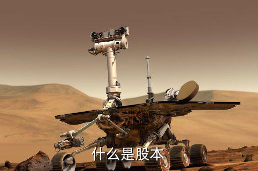 股票股本是什么意思，股本的概念