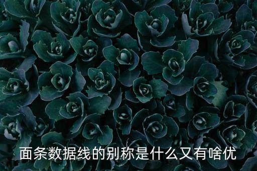 skewrons是什么牌子，skewrons是什么意思