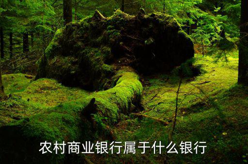 農(nóng)商行屬于什么銀行，農(nóng)商行屬于什么銀行