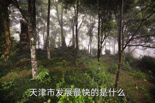 天津靠什么發(fā)展，天津市發(fā)展最快的是什么