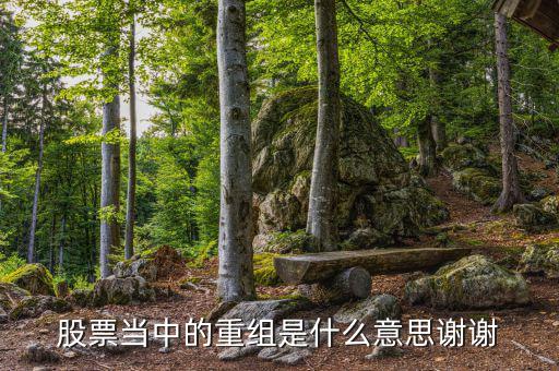 什么是重組，重組在電腦術(shù)語中什么意思