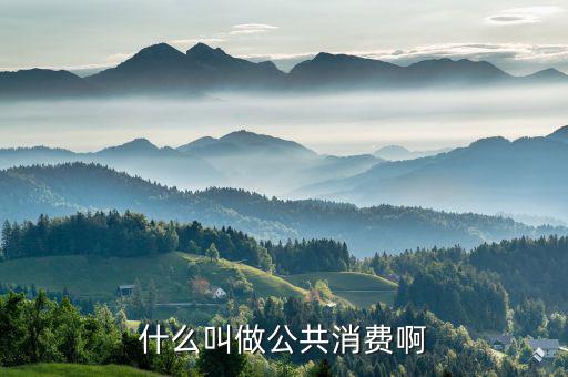 什么是公共消費(fèi)，什么叫做公共消費(fèi)啊