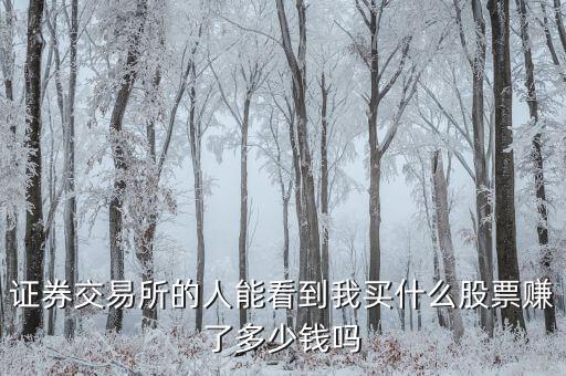 證券交易所的人能看到我買(mǎi)什么股票賺了多少錢(qián)嗎