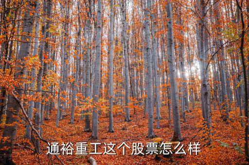 通裕重工是什么板塊，通裕重工這個(gè)股票怎么樣