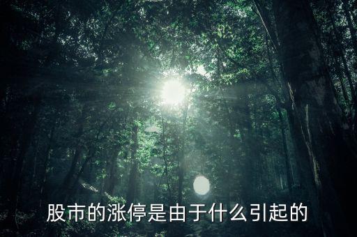 股票漲停跟什么有關(guān)系，股票開(kāi)盤(pán)就漲停受什么因素影響能否具體回答