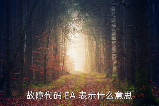 華泰ea什么意思，故障代碼 EA 表示什么意思