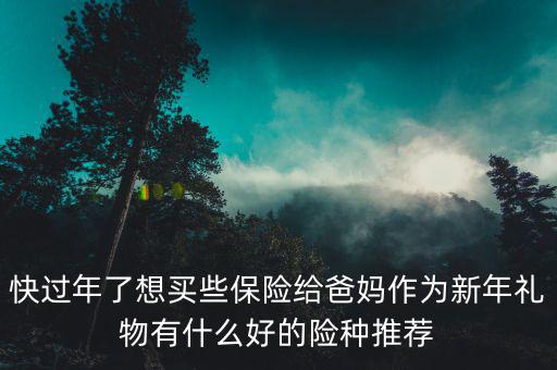 快過(guò)年了想買(mǎi)些保險(xiǎn)給爸媽作為新年禮物有什么好的險(xiǎn)種推薦