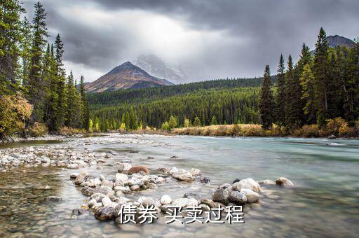 怎么買(mǎi)賣債券,新建可轉(zhuǎn)債交易流程