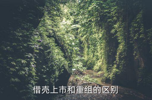 什么是借殼重組，下殺就買怕什么借殼重組什么概念
