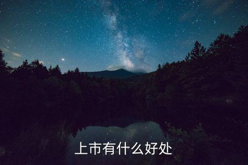 上市有什么好處，上市公司有什么好處