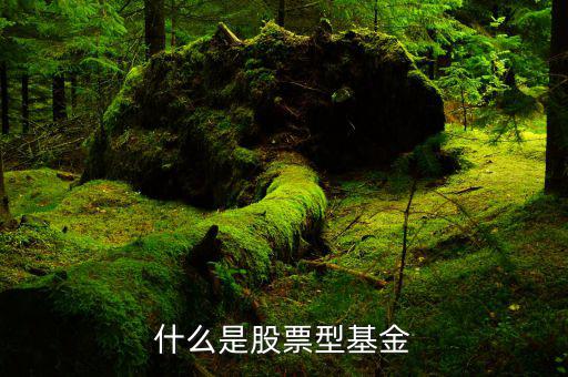 什么是權重股票基金，什么是股票型基金