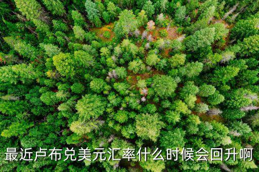盧布什么時(shí)候能回升，最近盧布兌美元匯率什么時(shí)候會(huì)回升啊