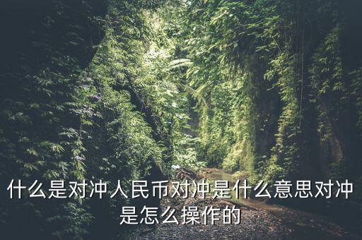 什么是基金a基金b對沖，什么是對沖人民幣對沖是什么意思對沖是怎么操作的