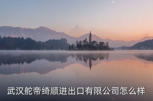 漢口北電商集團(tuán)怎么樣,阿里巴巴在國內(nèi)創(chuàng)辦第一所淘寶商學(xué)院