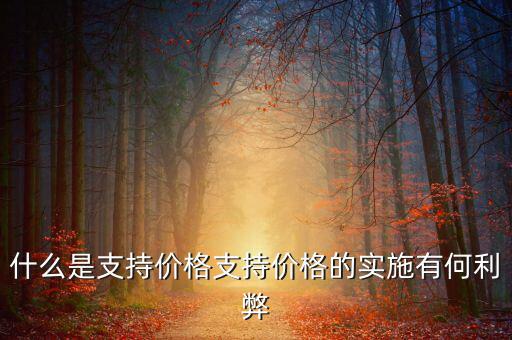 什么是支持價格支持價格的實(shí)施有何利弊