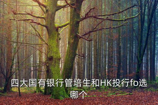 四大去投行有什么優(yōu)勢，女 研究生畢業(yè)想進投行 考研想考北大 清華 復旦或者香港大學 請問這四