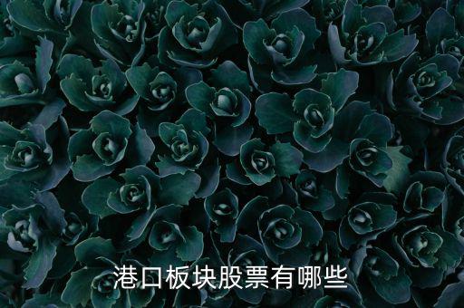 福建有什么港口股票，福建有哪些優(yōu)良的港口