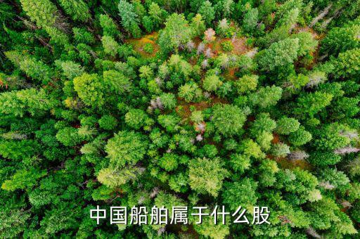 中國船舶屬于什么股