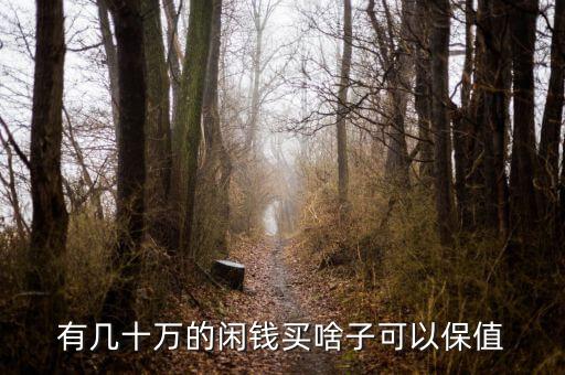 有幾十萬(wàn)的閑錢(qián)買(mǎi)啥子可以保值