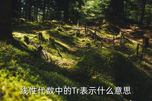 一陽(yáng)穿四線說(shuō)明什么，一陽(yáng)穿四線成交增量的股票會(huì)漲嗎