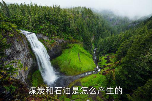 石墨礦怎么形成,石墨最常見于大理石、片巖或砂麻巖中