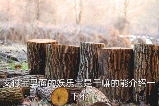 娛樂(lè)寶有什么意義，支付寶里面的娛樂(lè)寶是干嘛的能介紹一下不