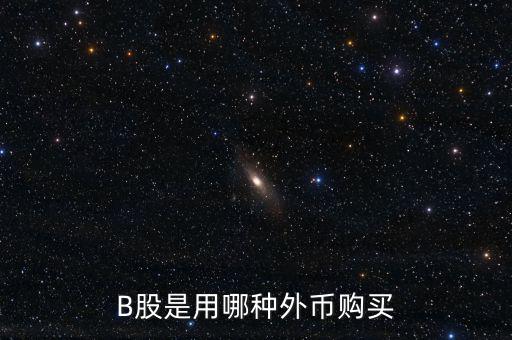 b股分紅支付什么貨幣，B股是用哪種外幣購買