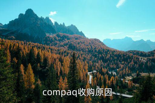 泰一指尚為什么被收購，compaq收購原因