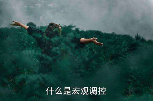宏觀調(diào)控的定義是什么，怎么理解宏觀調(diào)控