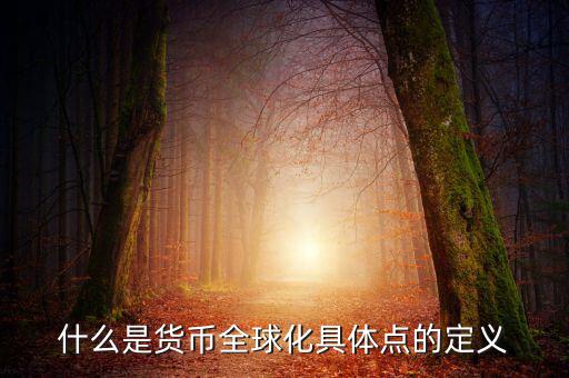什么是貨幣全球化具體點(diǎn)的定義