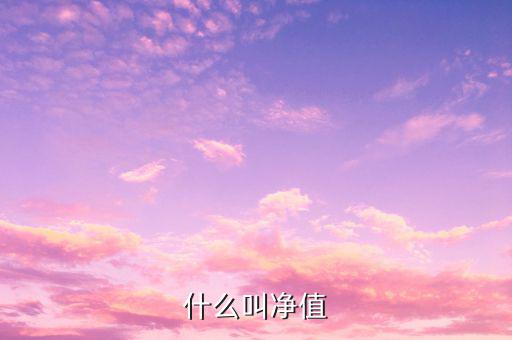 什么是凈值類理財產品，凈值型理財產品是什么意思