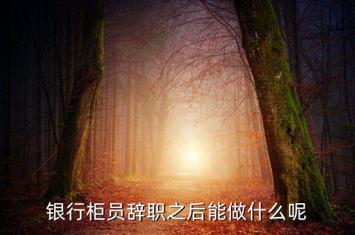 銀行辭職后做什么，銀行柜員辭職之后能做什么呢