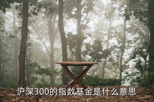 基金滬深300什么，滬深300的指數(shù)基金是什么意思