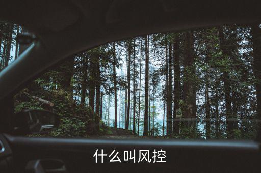 易到風(fēng)控什么意思，什么叫風(fēng)控