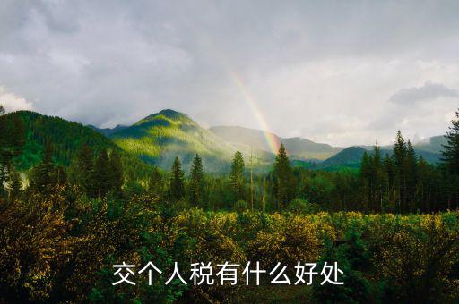 個人納稅有什么好處，交個人稅有什么好處