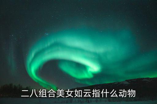 二八組合是什么意思，二八是什么意思