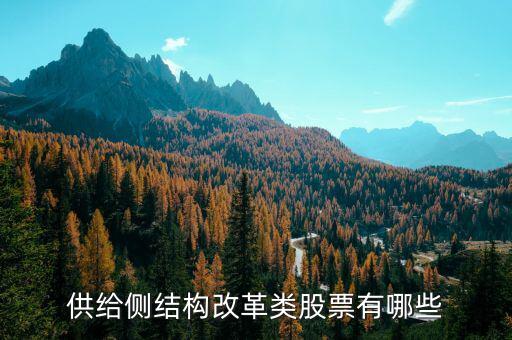 供給側(cè)最利好什么股票，供給側(cè)改革概念股有哪些