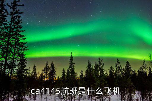 國(guó)航333是什么機(jī)型，飛機(jī)機(jī)型333怎么樣