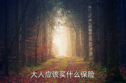 大人買什么保險(xiǎn)最好，大人保險(xiǎn)哪個(gè)比較合適