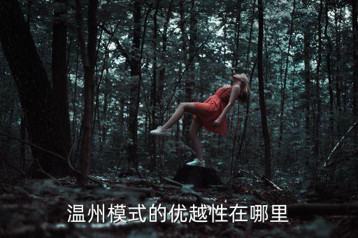 溫州模式為什么具有很強(qiáng)的經(jīng)濟(jì)性，溫州模式取得成功的原因6分題