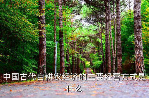 傳統(tǒng)農(nóng)業(yè)的經(jīng)營主體是什么，中國古代自耕農(nóng)經(jīng)濟的主要經(jīng)營方式是什么